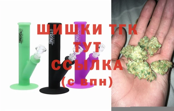 индика Костерёво