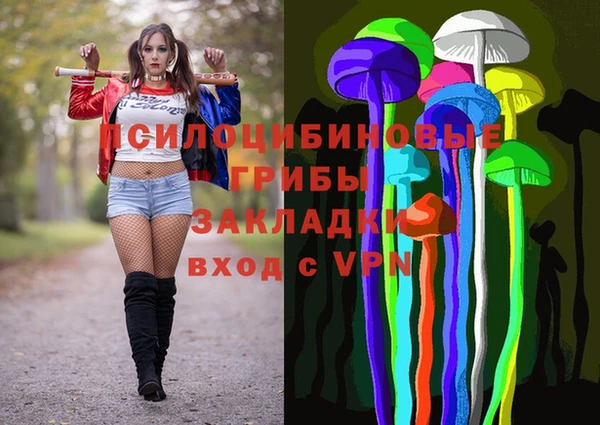 индика Костерёво