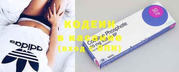 индика Костерёво