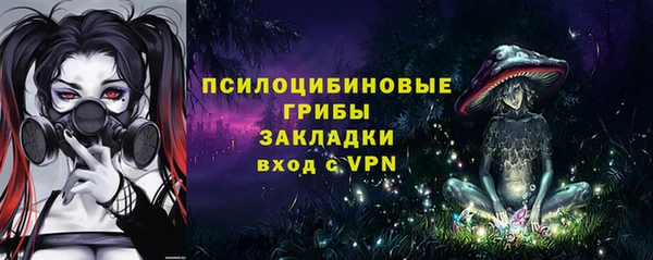 индика Костерёво