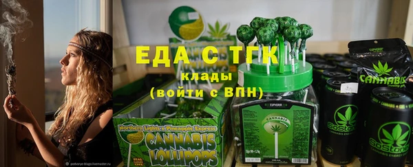 индика Костерёво