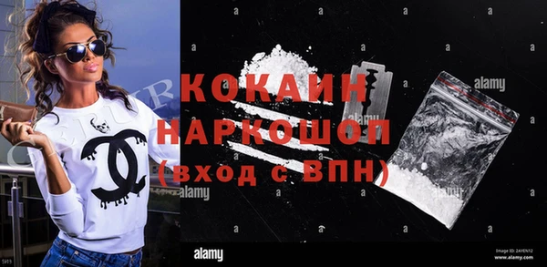 индика Костерёво
