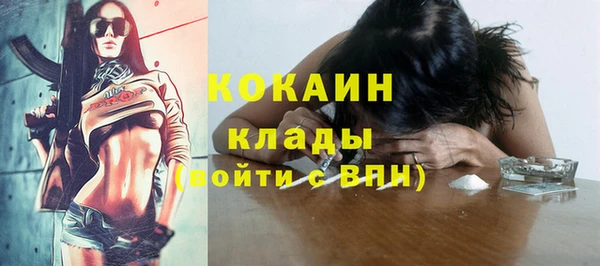 индика Костерёво